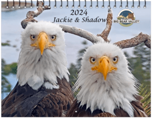 2024 Eagle Calendar