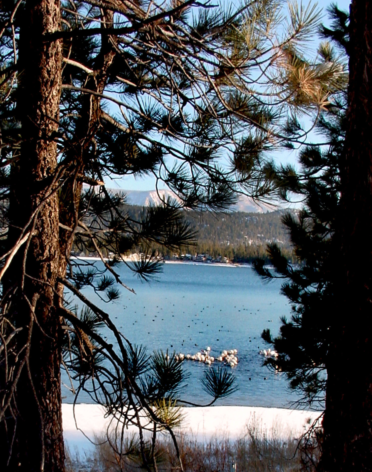 View of Big Bear Lake from proposed Moon Camp site