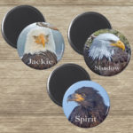 Three eagle magnets