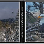 2021-2022 Big Bear Bald Eagle Photo Book-2022