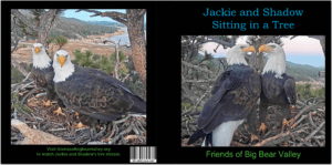 Book - Jackie & Shadows story