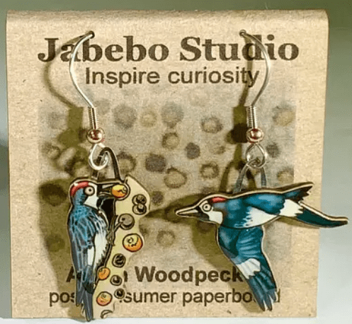 Earrings - Acorn Woodpecker