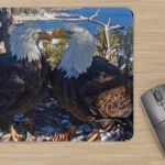 Mouse Pad hearts breaks pic of eagles